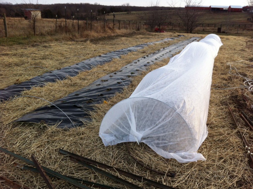 floating row covers A Small Town Kitchen